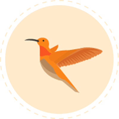 Illustration of a bird in flight