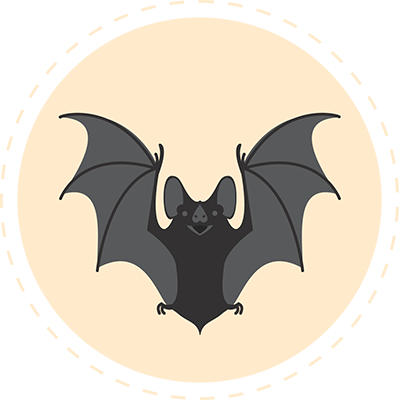 Illustration of a bat