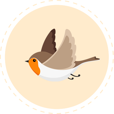 Illustration of a bird in flight