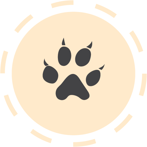 Illustration of a paw print