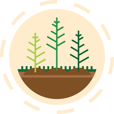 Illustration of planted trees