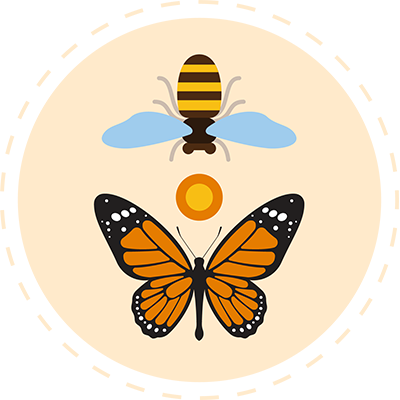 Illustration of a bee and butterfly at a flower