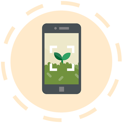 Illustration of a plant on a phone