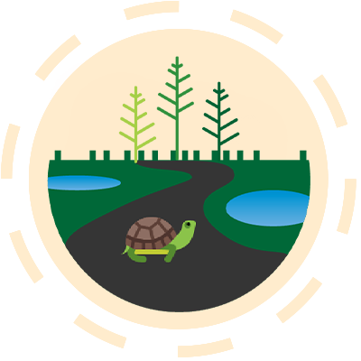Illustration of a turtle crossing a road