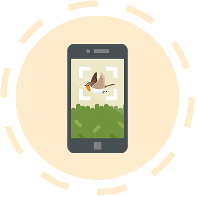 Illustration of a hawk in a mobile phone