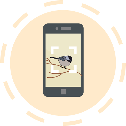 Illustration of a chickadee on a phone