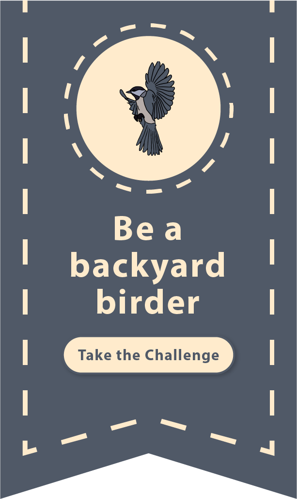Be a backyard birder: Take the challenge