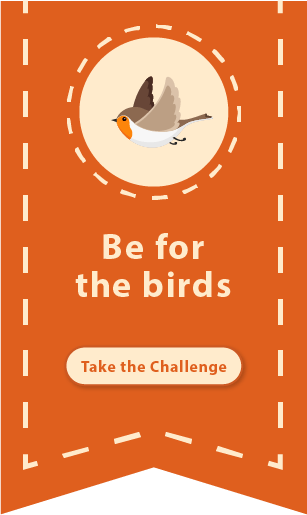 Be for the birds: Take the challenge