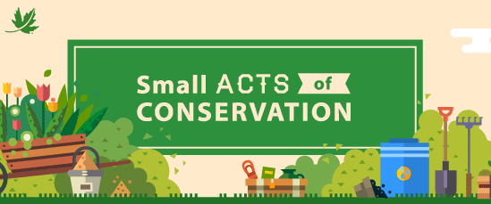 Small Acts of Conservation