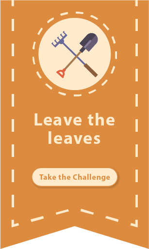 Leave the leaves: Take the challenge
