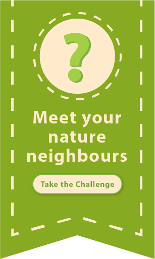 Meet your nature neighbours: Take the challenge
