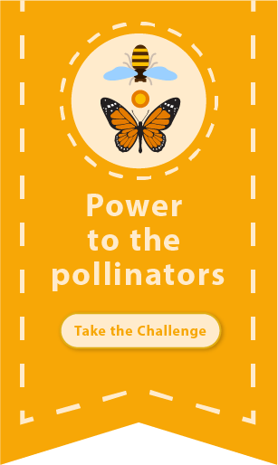 Power to the pollinators: Take the challenge