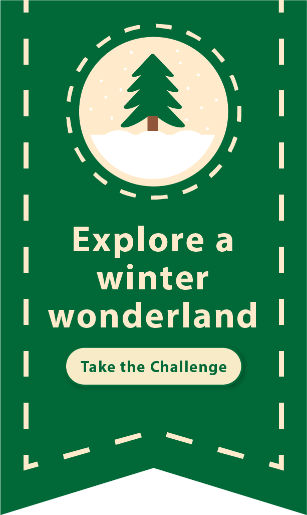 Explore a winter wonderland: Take the challenge