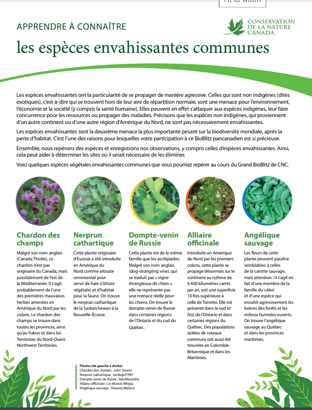 Invasive species PDF doc