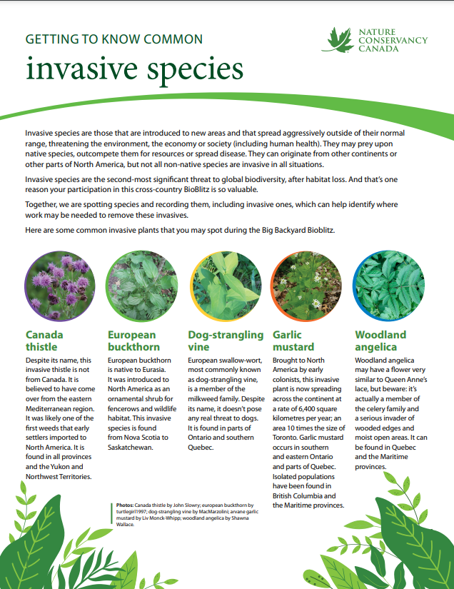 Invasive species PDF doc